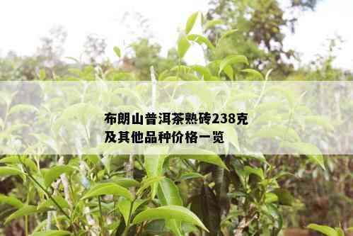 布朗山普洱茶熟砖238克及其他品种价格一览