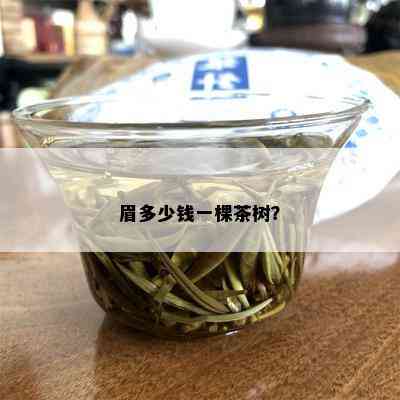 眉多少钱一棵茶树？