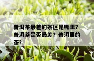 普洱茶最差的茶区是哪里？普洱茶是否最差？普洱里的茶？