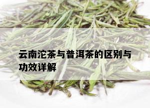 云南沱茶与普洱茶的区别与功效详解