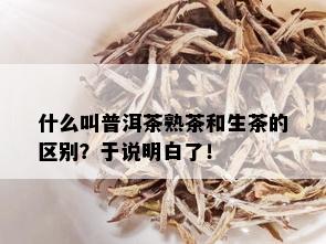 什么叫普洱茶熟茶和生茶的区别？于说明白了！