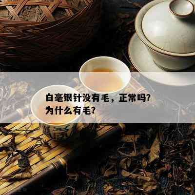 白毫银针没有毛，正常吗？为什么有毛？