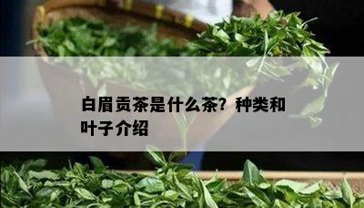 白眉贡茶是什么茶？种类和叶子介绍