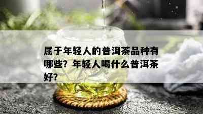 属于年轻人的普洱茶品种有哪些？年轻人喝什么普洱茶好？