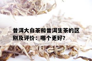 普洱大白茶和普洱生茶的区别及评价：哪个更好？