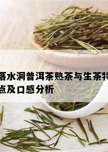 落水洞普洱茶熟茶与生茶特点及口感分析