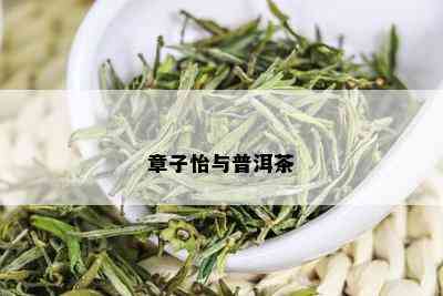 章子怡与普洱茶