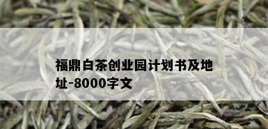 福鼎白茶创业园计划书及地址-8000字文