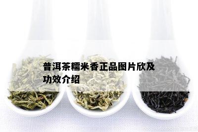 普洱茶糯米香正品图片欣及功效介绍