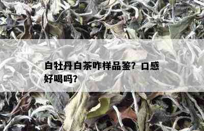 白牡丹白茶咋样品鉴？口感好喝吗？