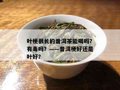 叶梗很长的普洱茶能喝吗？有吗？——普洱梗好还是叶好？