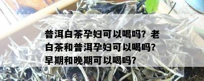 普洱白茶孕妇可以喝吗？老白茶和普洱孕妇可以喝吗？早期和晚期可以喝吗？