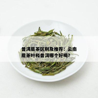 普洱眉茶区别及推荐：云南眉茶叶和普洱哪个好喝？