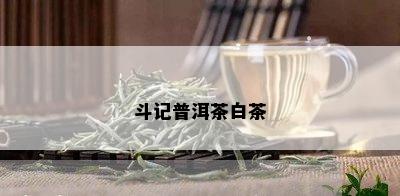 斗记普洱茶白茶