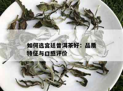 如何选宫廷普洱茶好：品质特征与口感评价