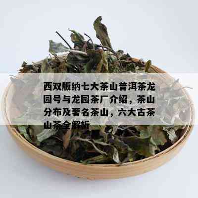 西双版纳七大茶山普洱茶龙园号与龙园茶厂介绍，茶山分布及著名茶山，六大古茶山茶全解析