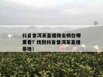 抖音普洱茶直播排名榜在哪里看？找到抖音普洱茶直播基地！