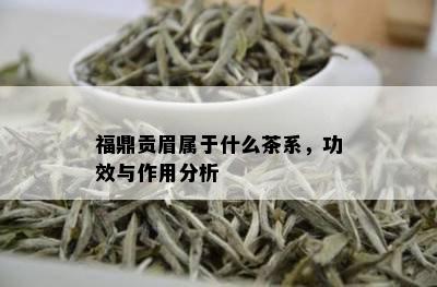 福鼎贡眉属于什么茶系，功效与作用分析