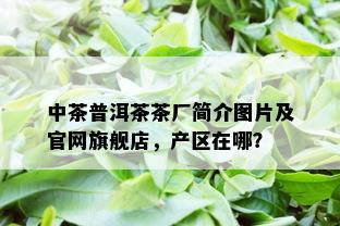 中茶普洱茶茶厂简介图片及官网旗舰店，产区在哪？