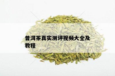 普洱茶真实测评视频大全及教程