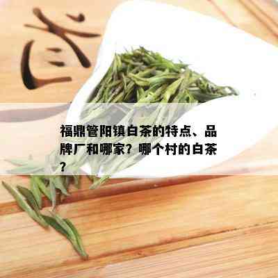 福鼎管阳镇白茶的特点、品牌厂和哪家？哪个村的白茶？