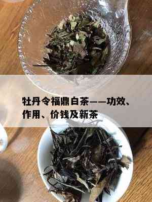 牡丹令福鼎白茶——功效、作用、价钱及新茶