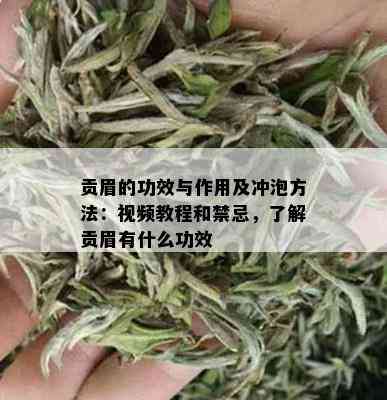 贡眉的功效与作用及冲泡方法：视频教程和禁忌，了解贡眉有什么功效