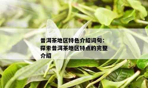 普洱茶地区特色介绍词句：探索普洱茶地区特点的完整介绍