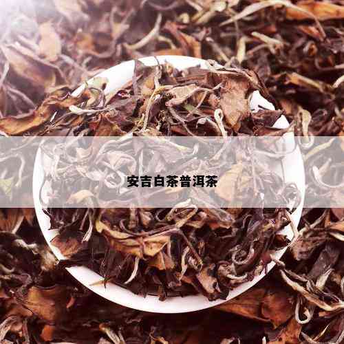 安吉白茶普洱茶