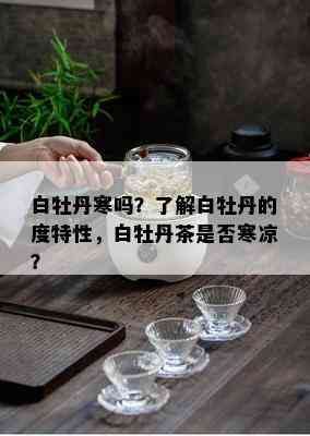 白牡丹寒吗？了解白牡丹的度特性，白牡丹茶是否寒凉？