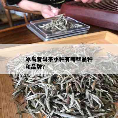 冰岛普洱茶小种有哪些品种和品牌？