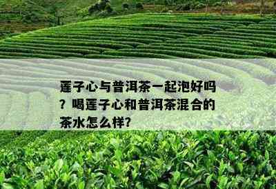 莲子心与普洱茶一起泡好吗？喝莲子心和普洱茶混合的茶水怎么样？