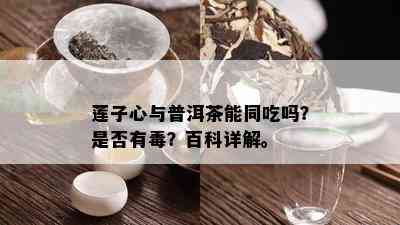 莲子心与普洱茶能同吃吗？是否有？百科详解。