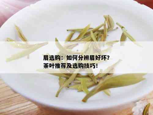 眉选购：如何分辨眉好坏？茶叶推荐及选购技巧！