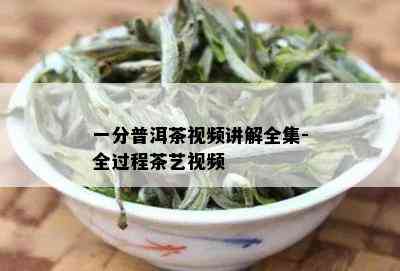 一分普洱茶视频讲解全集-全过程茶艺视频