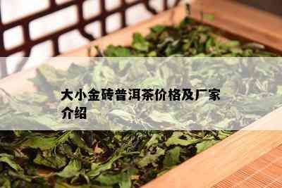 大小金砖普洱茶价格及厂家介绍