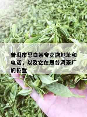 普洱市思白茶专卖店地址和电话，以及它在思普洱茶厂的位置