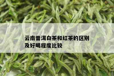 云南普洱白茶和红茶的区别及好喝程度比较