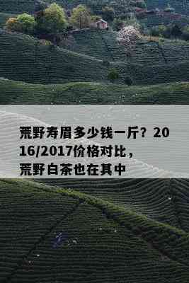 荒野寿眉多少钱一斤？2016/2017价格对比，荒野白茶也在其中