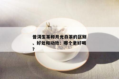 普洱生茶和月光白茶的区别、好处和功效：哪个更好喝？