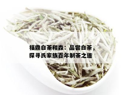 福鼎白茶和森：品尝白茶，探寻氏家族百年制茶之道