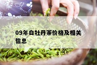 09年白牡丹茶价格及相关信息