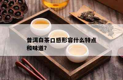 普洱白茶口感形容什么特点和味道？