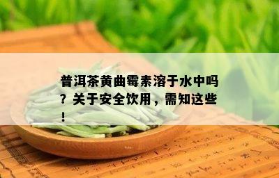 普洱茶黄曲霉素溶于水中吗？关于安全饮用，需知这些！