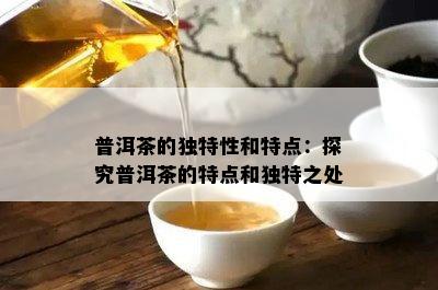 普洱茶的独特性和特点：探究普洱茶的特点和独特之处