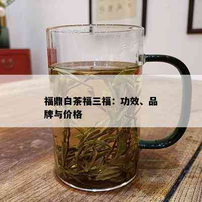 福鼎白茶福三福：功效、品牌与价格