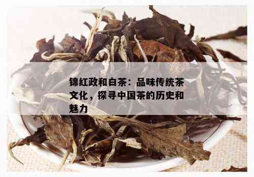 锦红政和白茶：品味传统茶文化，探寻中国茶的历史和魅力