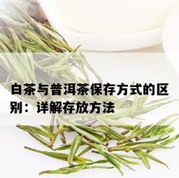 白茶与普洱茶保存方式的区别：详解存放方法