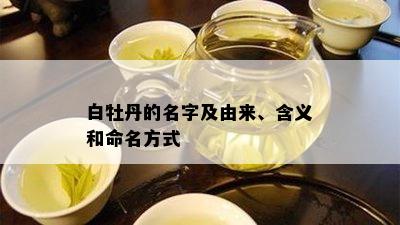 白牡丹的名字及由来、含义和命名方式