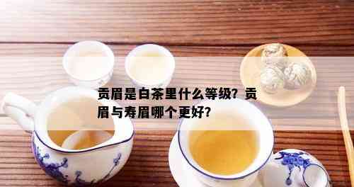 贡眉是白茶里什么等级？贡眉与寿眉哪个更好？